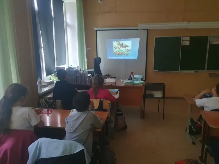 8e0b6d0c-7521-4289-8c33-bdbcb92672e1